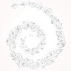 White_petals_gray_background_624.eps