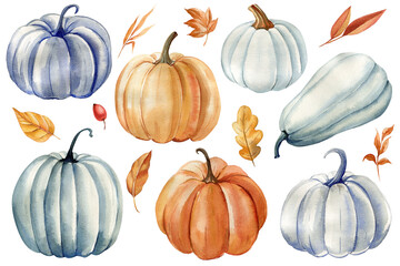 Pumpkin, dry leaves watercolor boho autumn botanical illustration. Vintage Watercolor fall clipart hand drawing isolated