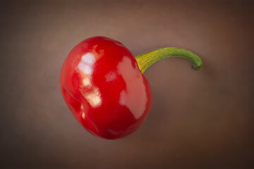 Hot pepper. Red hot Asian pepper reflected on dark surface