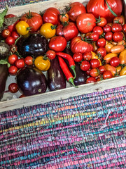 Crate full of freshly picked tomatoes, eggplants, and peppers