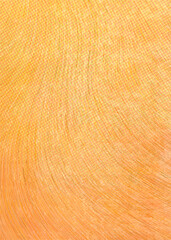 Orange vertical background. Simple design. Backdrop, for banners, posters, and various design works