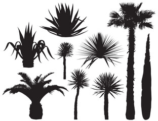 Southern plants and trees. Silhouette vector set