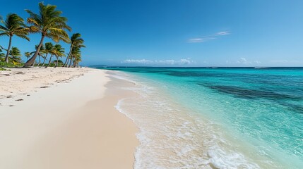 Palm Trees and Clear Blue Water on a Pristine Beach