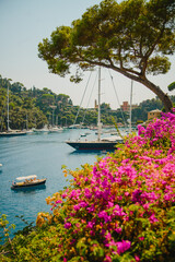 Panoramic landscape. Blue sky, azure sea, yachts, bright pink flowers. Tourist place - Portofino. Expensive vacation. Italian Riviera. Liguria