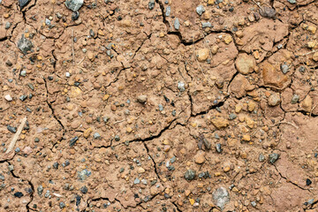 A close-up view of dry, cracked soil, showcasing various textures and small stones embedded within the earth.

