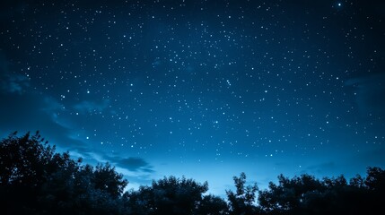 Fototapeta premium A clear night sky filled with stars