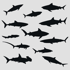 A collection of black icons of different types of sharks. Dangerous sharks. Vector on a gray background