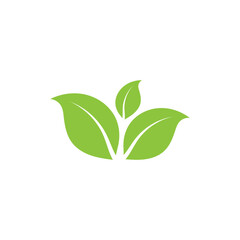 Natural leaf logo icon illustration