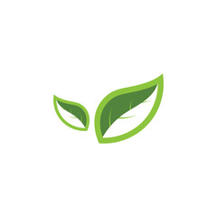 Natural leaf logo icon illustration
