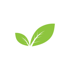 Obraz premium Natural leaf logo icon illustration