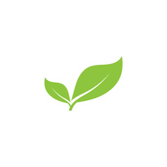 Natural leaf logo icon illustration