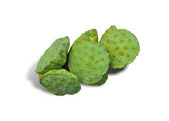 sheath lotus seed torus Nelumbo Fresh green, delicious, young seeds isolated on white background. This has clipping path.