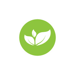 Natural leaf logo icon illustration