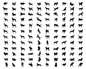 Black silhouettes of different breeds of dogs on a white background	