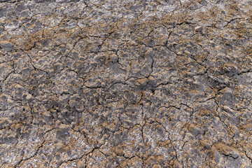 the plowed soil covered with snow and frost on the field