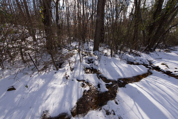 A serene winter scene of a forest with snow-covered ground and a partially frozen pond under a blue sky