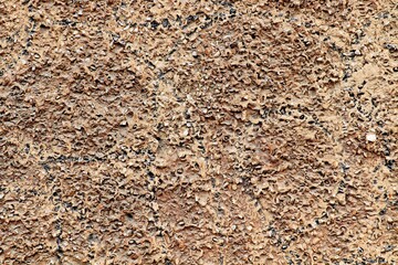 Background, texture: rough plaster with small stones interspersed
