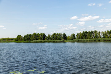 waves on the lake in the summer