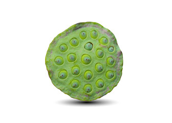 sheath lotus seed torus Nelumbo Fresh green, delicious, young seeds isolated on white background. This has clipping path.
