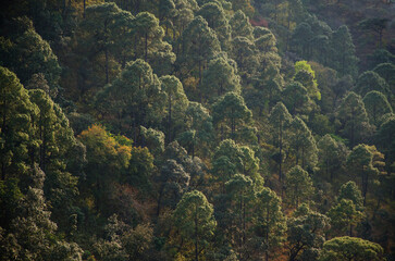 Himalayas mountain range, Spectacular and Mesmerizing landscape, view of the mystical land of Kumaun, near Munsiyari, Pithoragarh, Uttarakhand, India. Background, cover, copy space, soft focus