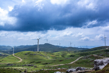 Green prairie under blue sky and white clouds
