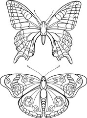 butterfly illustration, butterfly vector outline illustration set