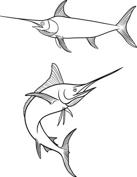 recommend clip art: swordfish, vector outline illustrations set, silhouette of a fish