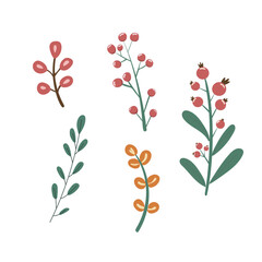 Set of botanical branches with berries. Autumn plants and foliage for seasonal, nature-themed design