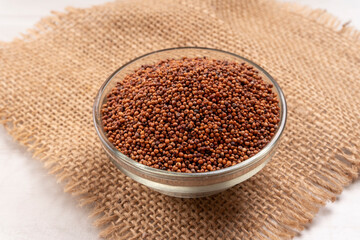 Assorted different types of beans and cereals grains. Set of indispensable sources of protein for a healthy lifestyle. Everyday use at Indian households.