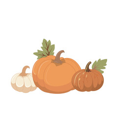 Autumn pumpkins with green leaves. Harvest, fall decor, Thanksgiving or Halloween illustration