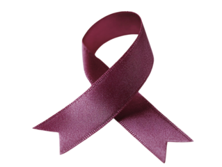 Purple awareness ribbon, symbol of support for causes, isolated on white background.  PNG transparent.