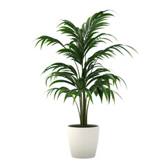 Obraz premium A vibrant indoor plant with lush green leaves in a white pot, perfect for adding a touch of nature to any space., isolated on a transparent background.
