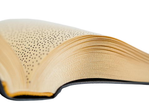 Open Braille book with raised dots, close-up detail, isolated on a white background.  PNG transparent.