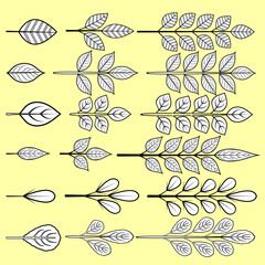 Doodle leaf brush set in illustrator.