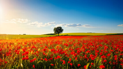 A golden wheat field dotted with vibrant red poppies swaying gently in the breeze