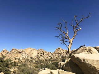 Kalifornien Desert Hot Springs