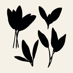 Flat vector sage branches collection