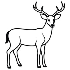 Obraz premium deer-white-background.eps