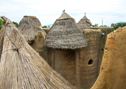 Benin, West Africa, Boukoumb&eacute;, traditional tata somba houses with thatched roofs and granaries