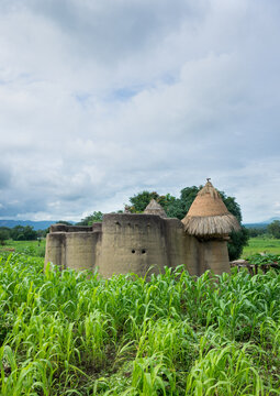 Togo, West Africa, Nadoba, traditional tata somba houses with thatched roofs and granaries