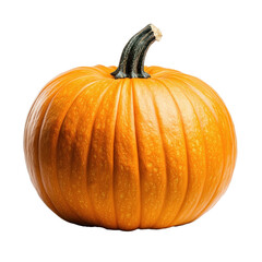 Obraz premium A pumpkin, isolate on transparent background