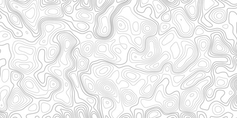 Seamless pattern with lines White wave paper curved reliefs abstract background, Abstract topographic contours map background. Abstract black and white