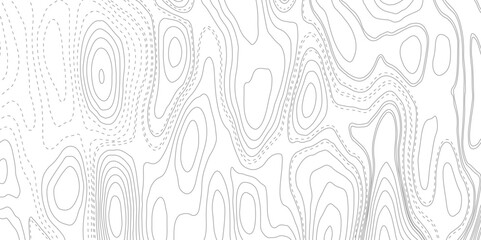 Seamless pattern with lines White wave paper curved reliefs abstract background, Abstract topographic contours map background. Abstract black and white