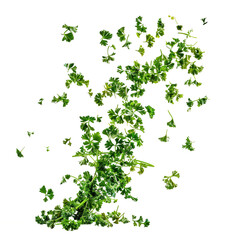 Floating dried parsley