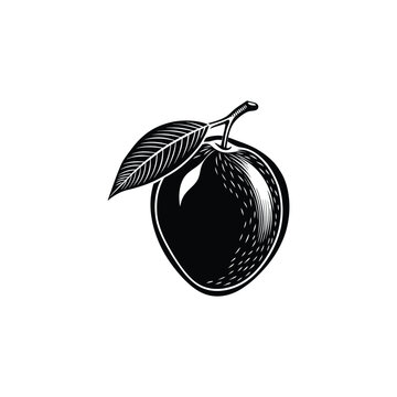 black plum with leaf, vintage style clip art preview