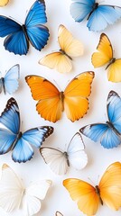 Colorful Butterflies in Various Shades and Patterns on White Background