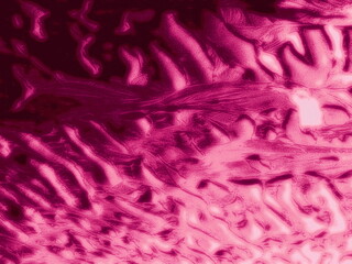 A series of abstract, minimal, textured, peach fuzz and colorful backgrounds- to be used for...