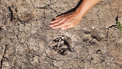 mão humana ao lado de pegadas de onça no pantanal em mato grosso 