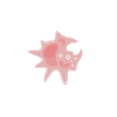 Macrophage illustration