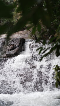 river in the forest. waterfall